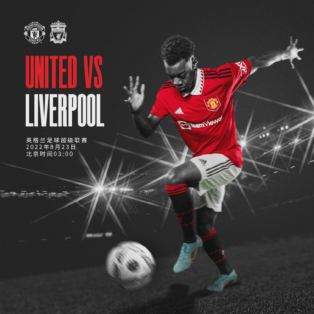 智能辅助运输系统